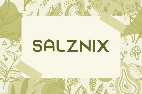 Salzaix: The Quirky Display Typeface for Bold Editorial Design